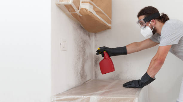 Professional Commercial Mold Remediation technician working in Mineola, NY