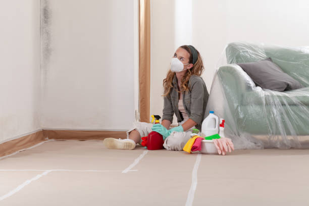 Reliable Commercial Mold Remediation contractor in Mineola, NY by WQB Mold Removal